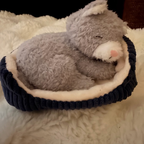 Jellycat Other - RETIRED/RARE jellycat Nipper cat